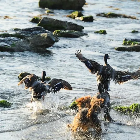 Santa Cruz Apartmán Burgas City