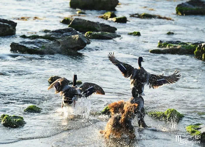 Santa Cruz شقة بورغاس